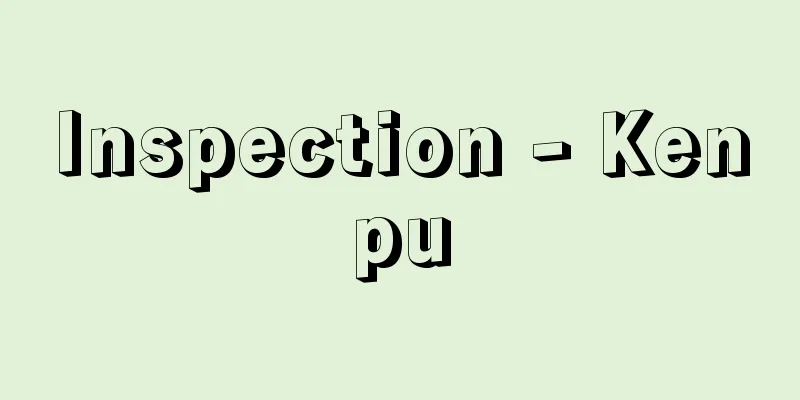 Inspection - Kenpu