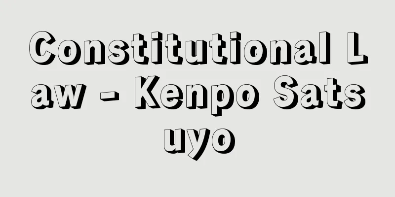 Constitutional Law - Kenpo Satsuyo