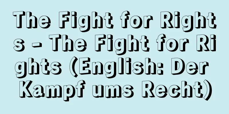 The Fight for Rights - The Fight for Rights (English: Der Kampf ums Recht)