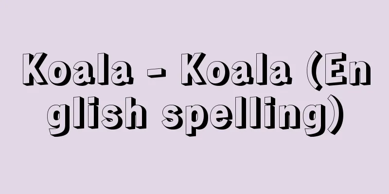 Koala - Koala (English spelling)