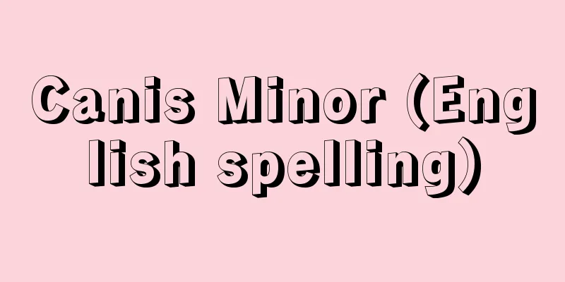 Canis Minor (English spelling)