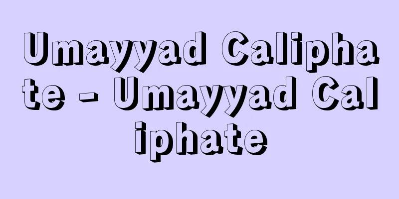 Umayyad Caliphate - Umayyad Caliphate