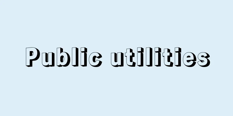 Public utilities