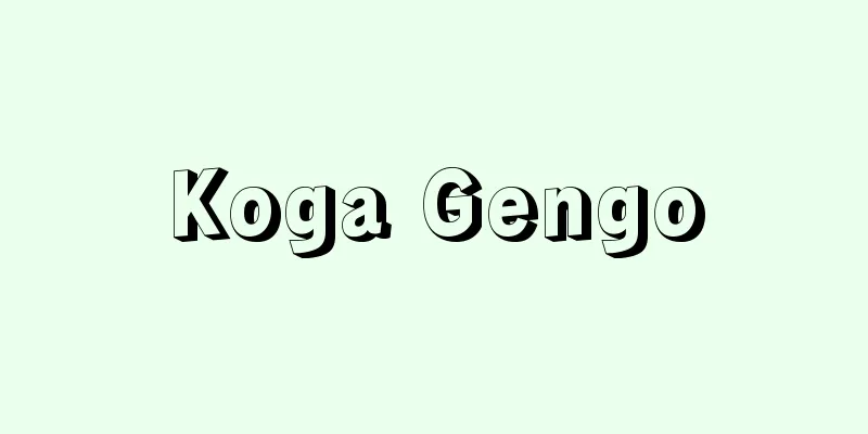 Koga Gengo