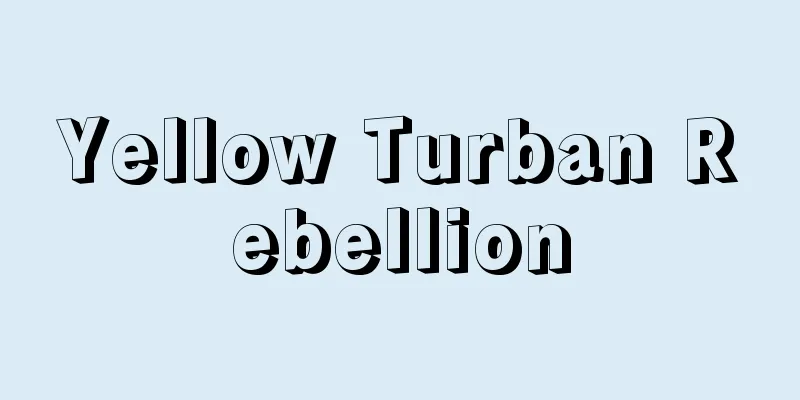 Yellow Turban Rebellion