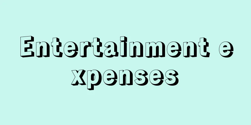 Entertainment expenses