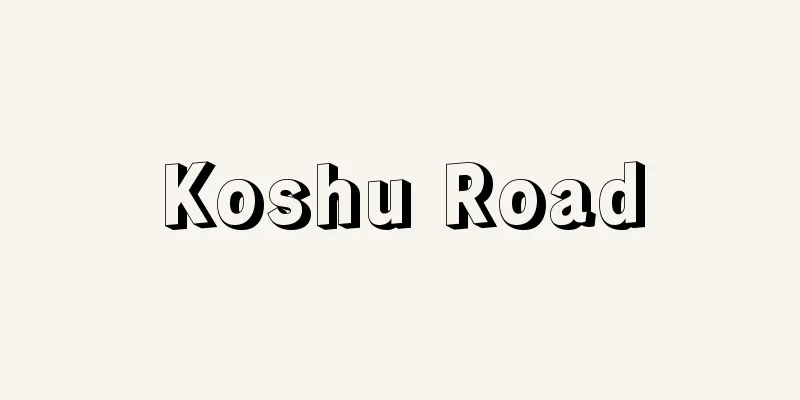 Koshu Road