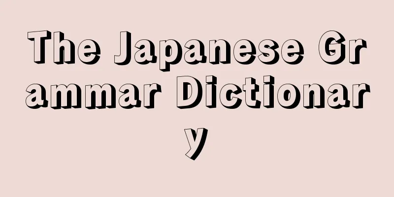The Japanese Grammar Dictionary