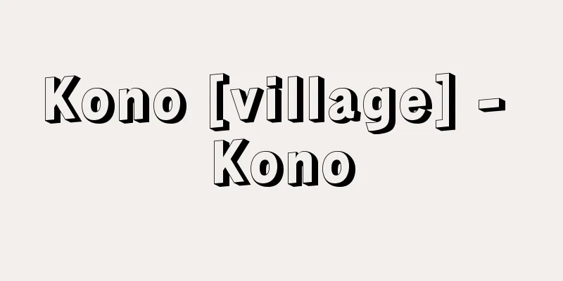 Kono [village] - Kono