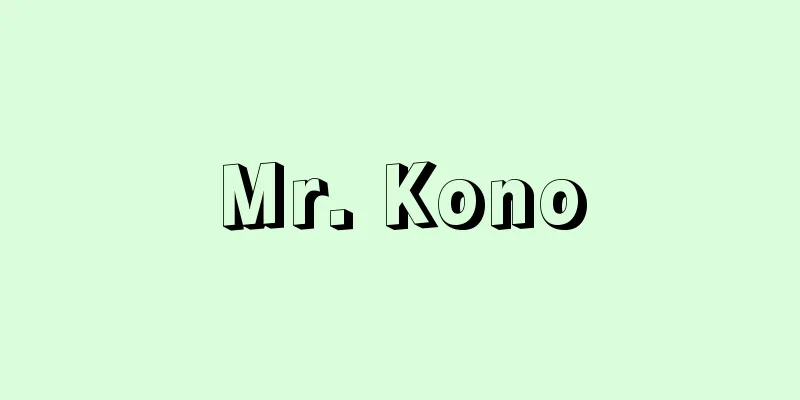 Mr. Kono