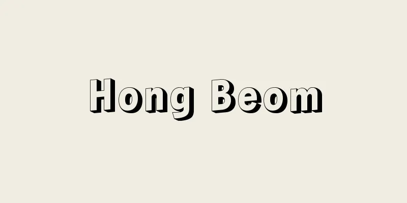 Hong Beom