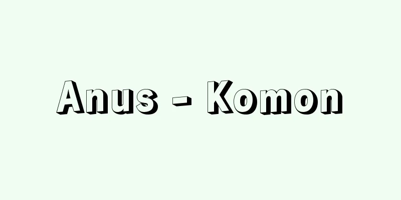 Anus - Komon