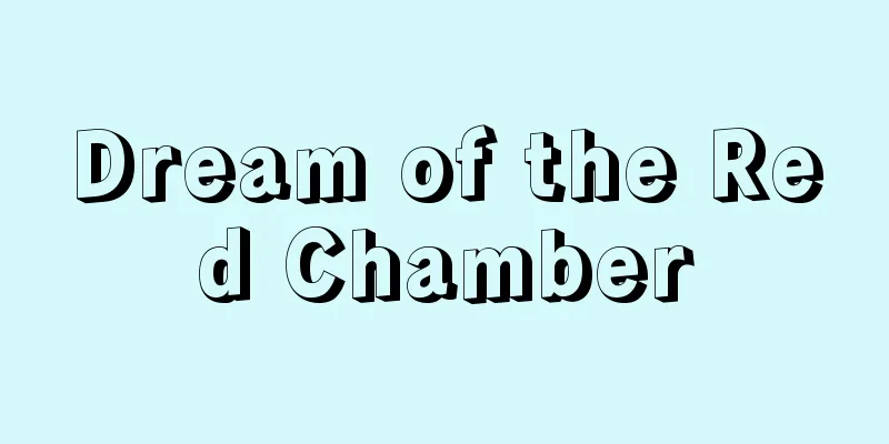 Dream of the Red Chamber