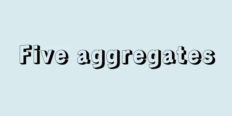Five aggregates