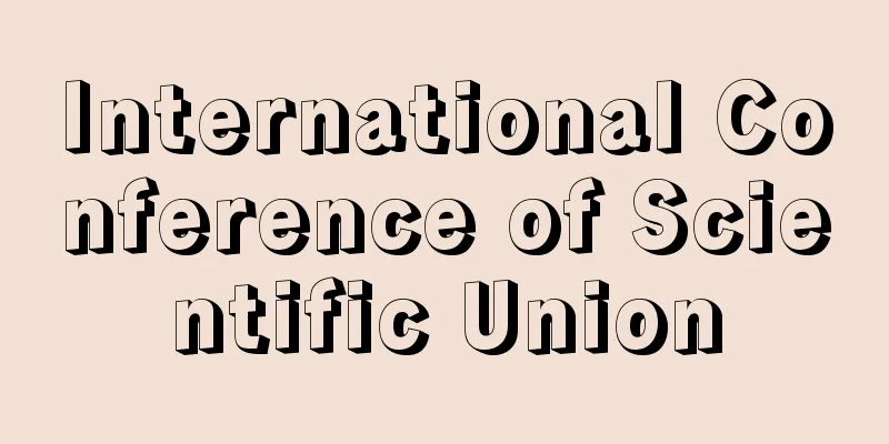 International Conference of Scientific Union