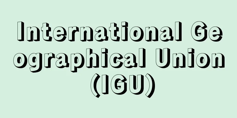International Geographical Union (IGU)