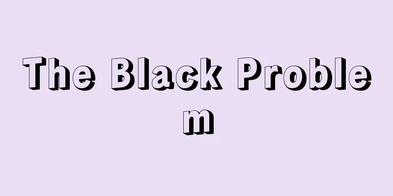The Black Problem