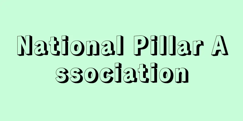 National Pillar Association