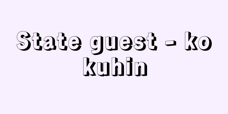 State guest - kokuhin