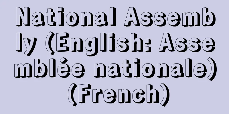 National Assembly (English: Assemblée nationale) (French)