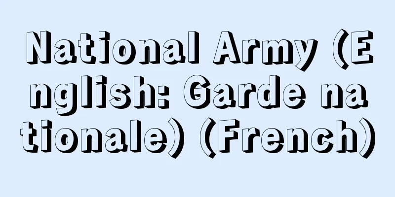 National Army (English: Garde nationale) (French)