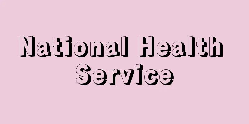 National Health Service