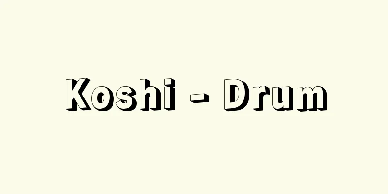 Koshi - Drum
