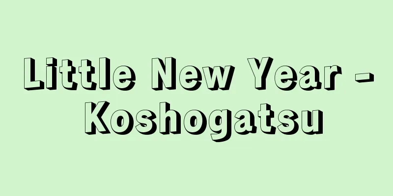 Little New Year - Koshogatsu