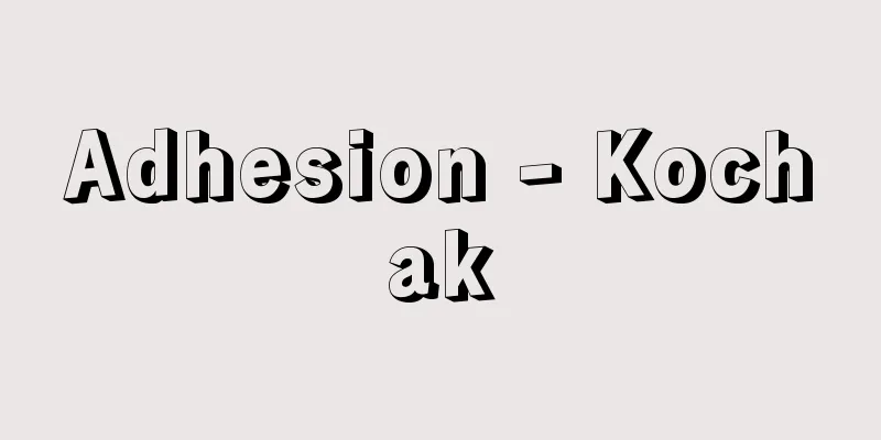 Adhesion - Kochak