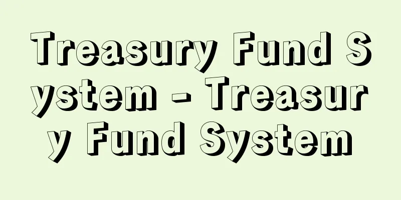 Treasury Fund System - Treasury Fund System