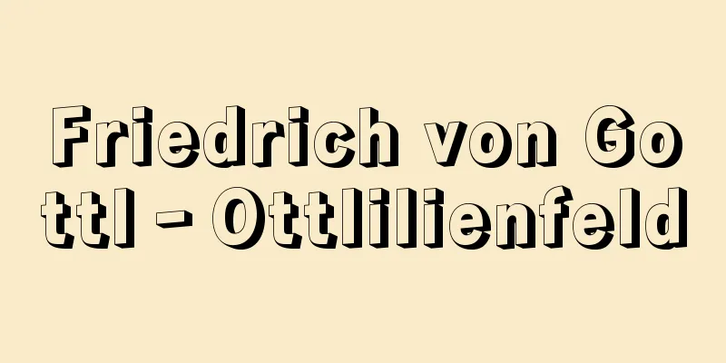 Friedrich von Gottl‐Ottlilienfeld