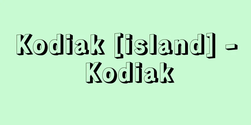 Kodiak [island] - Kodiak