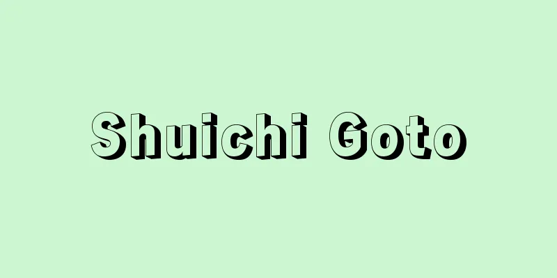 Shuichi Goto