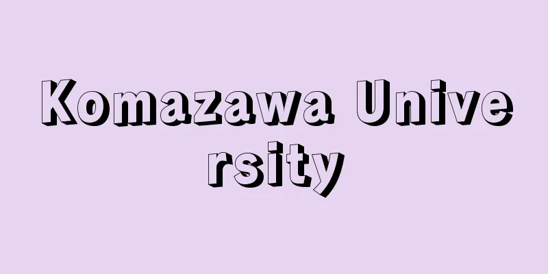 Komazawa University
