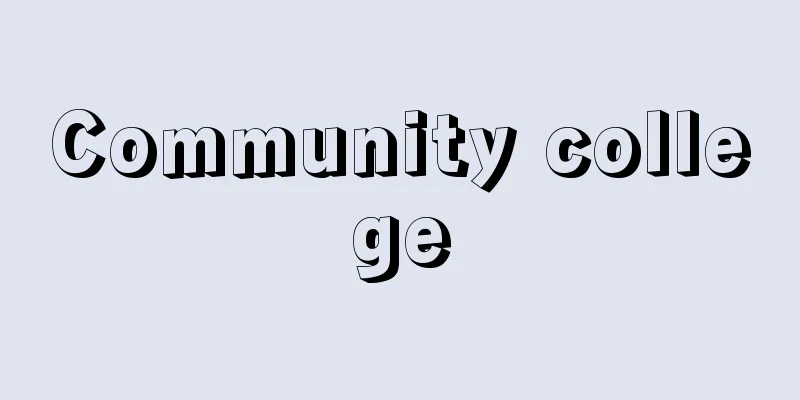 Community college