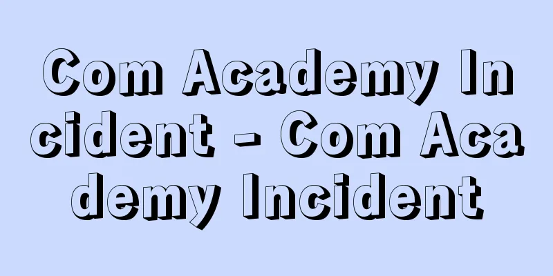 Com Academy Incident - Com Academy Incident
