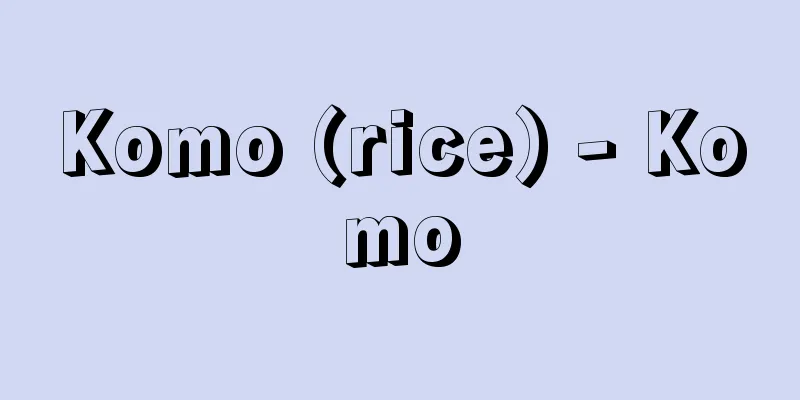Komo (rice) - Komo