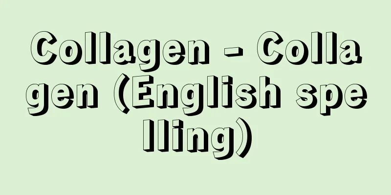 Collagen - Collagen (English spelling)