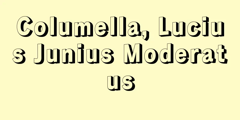 Columella, Lucius Junius Moderatus