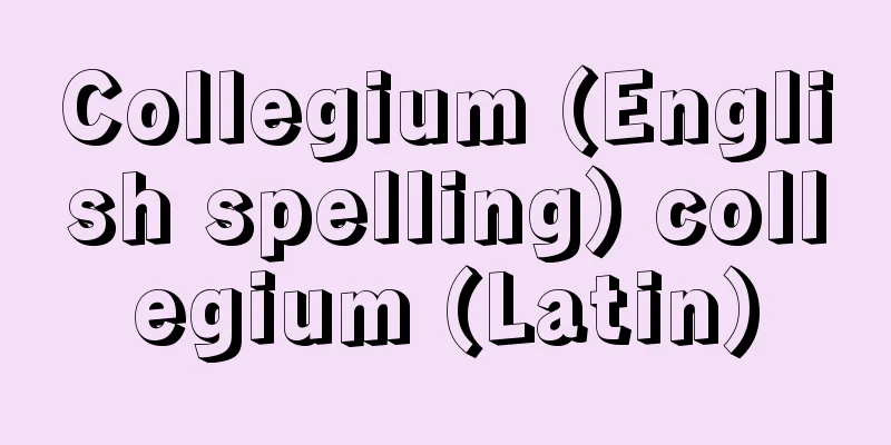 Collegium (English spelling) collegium (Latin)