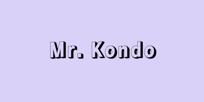 Mr. Kondo