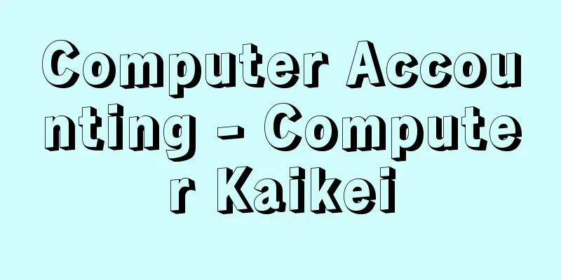 Computer Accounting - Computer Kaikei