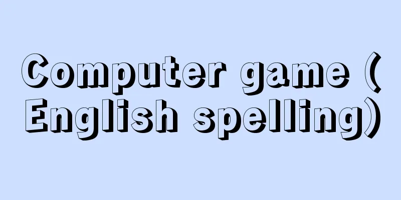 Computer game (English spelling)