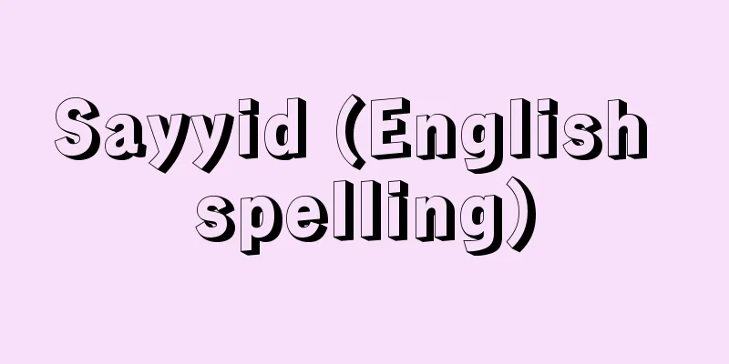 Sayyid (English spelling)