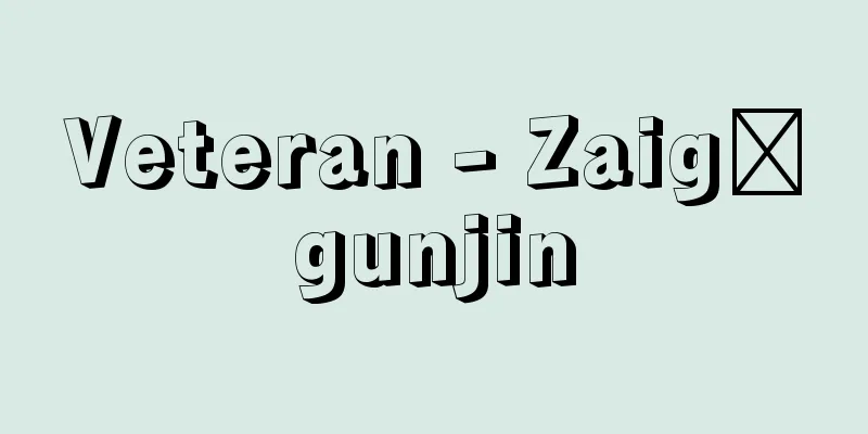 Veteran - Zaigōgunjin