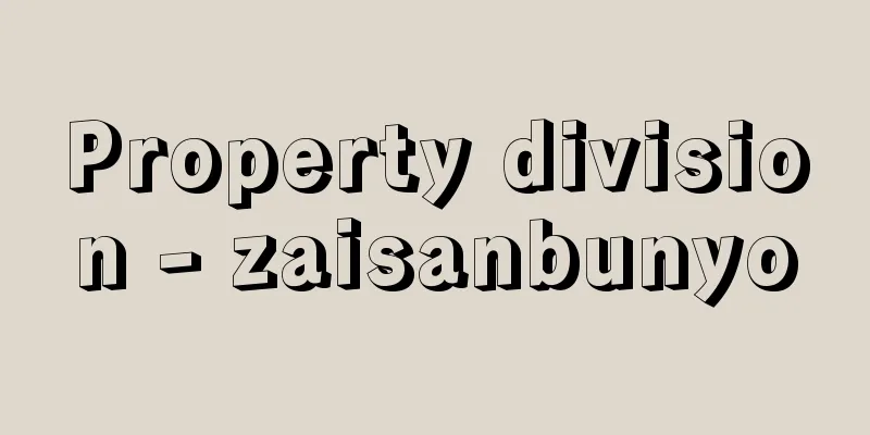 Property division - zaisanbunyo