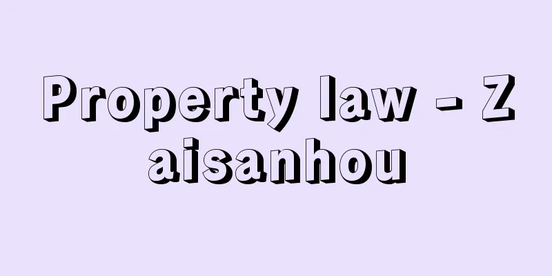 Property law - Zaisanhou