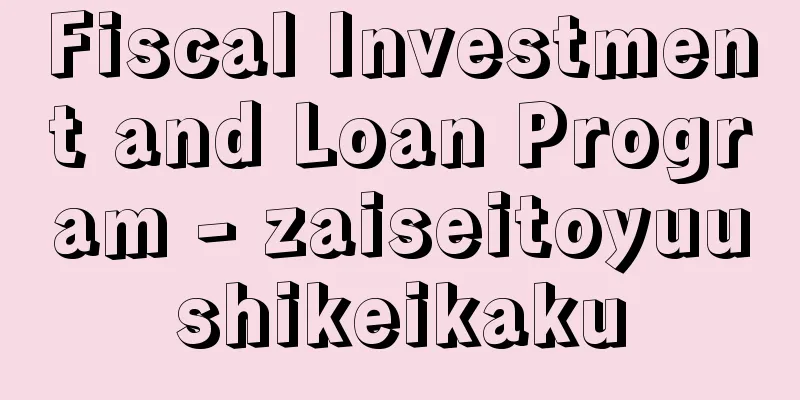Fiscal Investment and Loan Program - zaiseitoyuushikeikaku