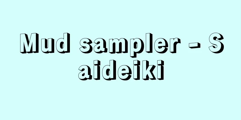 Mud sampler - Saideiki