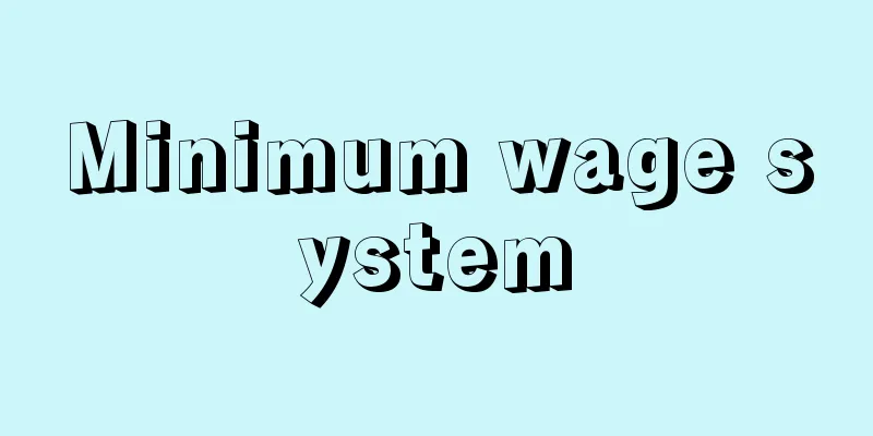 Minimum wage system